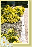 LBJflowers and Girls_0023